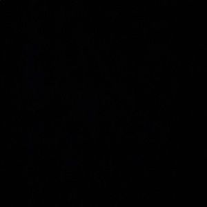 Meet your Posher, Leo